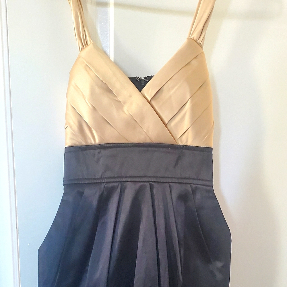 Alyn Paige dress